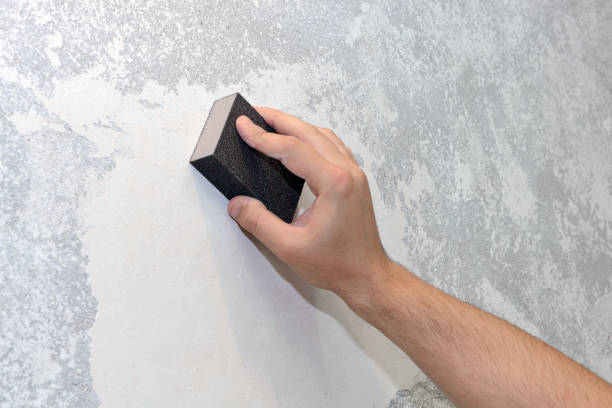 Dehumidification Services in Mikes, TX