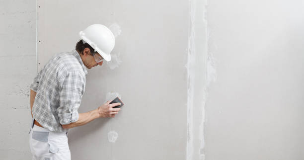 Mold Odor Removal Services in Mikes, TX
