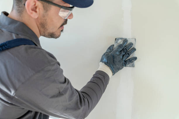 Best Indoor Air Quality Assessment  in Mikes, TX