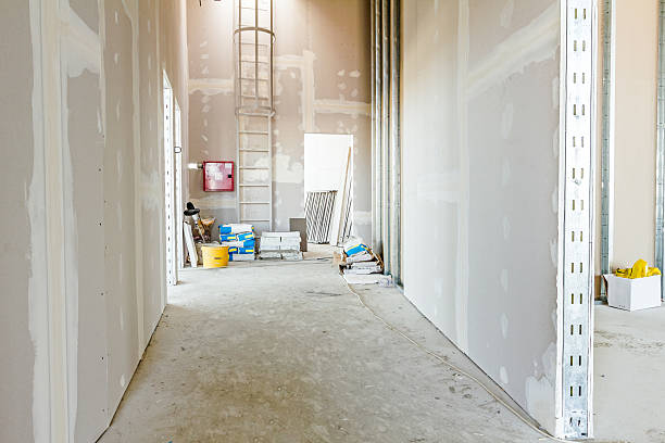 Best Water Damage & Mold Remediation  in Mikes, TX